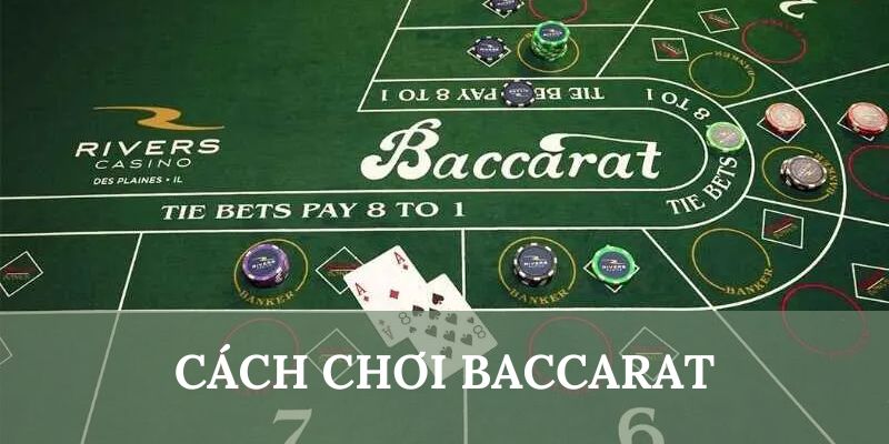 Cách chơi baccarat